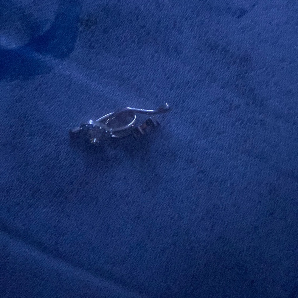 Nose ring